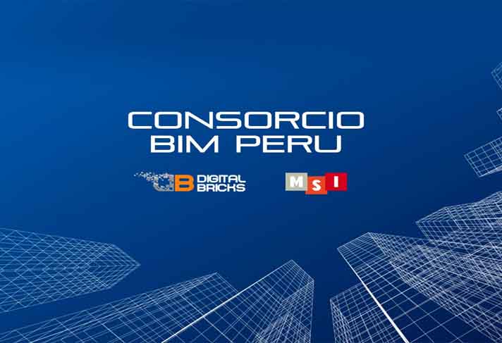 ¡Somos consultores de plan BIM Perú!