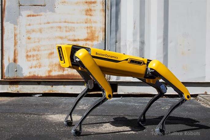 Spot, la solución tecnológica que Intuitive Robots presentó en el…